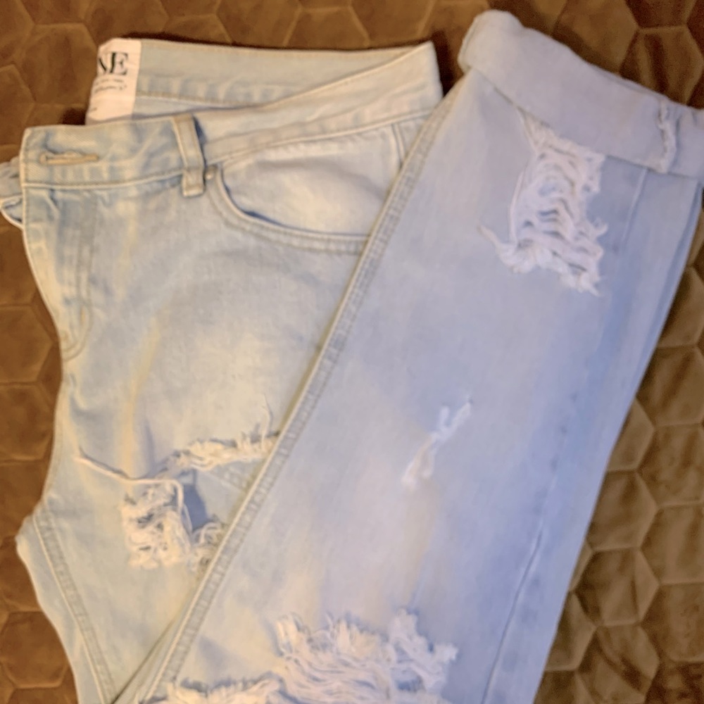 One Teaspoon Baggies